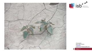 CC-by-Lizenz,
Autor: Bernd Schmid
für isb-w.eu
Systemische Professionalität 2013

Seite 17

 