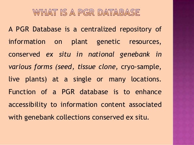 01 Pgr Data Base Management
