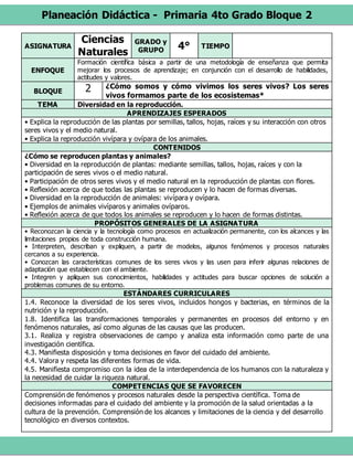 Planeación Didáctica - Primaria 4to Grado Bloque 2
ASIGNATURA
Ciencias
Naturales
GRADO y
GRUPO 4° TIEMPO
ENFOQUE
Formación científica básica a partir de una metodología de enseñanza que permita
mejorar los procesos de aprendizaje; en conjunción con el desarrollo de habilidades,
actitudes y valores.
BLOQUE 2 ¿Cómo somos y cómo vivimos los seres vivos? Los seres
vivos formamos parte de los ecosistemas*
TEMA Diversidad en la reproducción.
APRENDIZAJES ESPERADOS
• Explica la reproducción de las plantas por semillas, tallos, hojas, raíces y su interacción con otros
seres vivos y el medio natural.
• Explica la reproducción vivípara y ovípara de los animales.
CONTENIDOS
¿Cómo se reproducen plantas y animales?
• Diversidad en la reproducción de plantas: mediante semillas, tallos, hojas, raíces y con la
participación de seres vivos o el medio natural.
• Participación de otros seres vivos y el medio natural en la reproducción de plantas con flores.
• Reflexión acerca de que todas las plantas se reproducen y lo hacen de formas diversas.
• Diversidad en la reproducción de animales: vivípara y ovípara.
• Ejemplos de animales vivíparos y animales ovíparos.
• Reflexión acerca de que todos los animales se reproducen y lo hacen de formas distintas.
PROPÓSITOS GENERALES DE LA ASIGNATURA
• Reconozcan la ciencia y la tecnología como procesos en actualización permanente, con los alcances y las
limitaciones propios de toda construcción humana.
• Interpreten, describan y expliquen, a partir de modelos, algunos fenómenos y procesos naturales
cercanos a su experiencia.
• Conozcan las características comunes de los seres vivos y las usen para inferir algunas relaciones de
adaptación que establecen con el ambiente.
• Integren y apliquen sus conocimientos, habilidades y actitudes para buscar opciones de solución a
problemas comunes de su entorno.
ESTÁNDARES CURRICULARES
1.4. Reconoce la diversidad de los seres vivos, incluidos hongos y bacterias, en términos de la
nutrición y la reproducción.
1.8. Identifica las transformaciones temporales y permanentes en procesos del entorno y en
fenómenos naturales, así como algunas de las causas que las producen.
3.1. Realiza y registra observaciones de campo y analiza esta información como parte de una
investigación científica.
4.3. Manifiesta disposición y toma decisiones en favor del cuidado del ambiente.
4.4. Valora y respeta las diferentes formas de vida.
4.5. Manifiesta compromiso con la idea de la interdependencia de los humanos con la naturaleza y
la necesidad de cuidar la riqueza natural.
COMPETENCIAS QUE SE FAVORECEN
Comprensión de fenómenos y procesos naturales desde la perspectiva científica. Toma de
decisiones informadas para el cuidado del ambiente y la promoción de la salud orientadas a la
cultura de la prevención. Comprensión de los alcances y limitaciones de la ciencia y del desarrollo
tecnológico en diversos contextos.
 