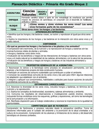 Planeación Didáctica - Primaria 4to Grado Bloque 2
ASIGNATURA
Ciencias
Naturales
GRADO y
GRUPO 4° TIEMPO
ENFOQUE
Formación científica básica a partir de una metodología de enseñanza que permita
mejorar los procesos de aprendizaje; en conjunción con el desarrollo de habilidades,
actitudes y valores.
BLOQUE 2 ¿Cómo somos y cómo vivimos los seres vivos? Los seres
vivos formamos parte de los ecosistemas*
TEMA Otros seres vivos: los hongos y las bacterias.
APRENDIZAJES ESPERADOS
• Identifica que los hongos y las bacterias crecen, se nutren y reproducen al igual que otros seres
vivos.
• Explica la importancia de los hongos y las bacterias en la interacción con otros seres vivos y el
medio natural.
CONTENIDOS
¿En qué se parecen los hongos y las bacterias a las plantas y los animales?
• Comparación del crecimiento, de la nutrición y la reproducción de hongos y bacterias con las
mismas funciones vitales de plantas y animales.
• Hongos y bacterias como seres vivos.
• Evaluación de los beneficios y riesgos de las interacciones de hongos y bacterias con otros seres
vivos y el medio natural en la estabilidad de las cadenas alimentarias y en la salud de las personas.
• Evaluación de los beneficios y riesgos de hongos y bacterias en las industrias alimentaria y
farmacéutica.
PROPÓSITOS GENERALES DE LA ASIGNATURA
• Reconozcan la ciencia y la tecnología como procesos en actualización permanente, con los
alcances y las limitaciones propios de toda construcción humana.
• Participen en acciones de consumo sustentable que contribuyan a cuidar el ambiente.
• Conozcan las características comunes de los seres vivos y las usen para inferir algunas relaciones
de adaptación que establecen con el ambiente.
• Integren y apliquen sus conocimientos, habilidades y actitudes para buscar opciones de solución
a problemas comunes de su entorno.
ESTÁNDARES CURRICULARES
1.4. Reconoce la diversidad de los seres vivos, incluidos hongos y bacterias, en términos de la
nutrición y la reproducción.
1.5. Explica los conceptos de biodiversidad, ecosistema, cadenas alimentarias y ambiente.
3.6. Comunica los resultados de observaciones e investigaciones usando diversos recursos,
incluyendo formas simbólicas como los esquemas, gráficas y exposiciones, así como las tecnologías
de la comunicación y la información.
4.8. Manifiesta disposición para el trabajo colaborativo y reconoce la importancia de la igualdad de
oportunidades.
COMPETENCIAS QUE SE FAVORECEN
Comprensión de fenómenos y procesos naturales desde la perspectiva científica. Toma de
decisiones informadas para el cuidado del ambiente y la promoción de la salud orientadas a la
cultura de la prevención. Comprensión de los alcances y limitaciones de la ciencia y del desarrollo
tecnológico en diversos contextos.
 