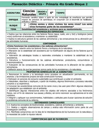 Planeación Didáctica - Primaria 4to Grado Bloque 2
ASIGNATURA
Ciencias
Naturales
GRADO y
GRUPO 4° TIEMPO
ENFOQUE
Formación científica básica a partir de una metodología de enseñanza que permita
mejorar los procesos de aprendizaje; en conjunción con el desarrollo de habilidades,
actitudes y valores.
BLOQUE 2 ¿Cómo somos y cómo vivimos los seres vivos? Los seres
vivos formamos parte de los ecosistemas*
TEMA Estabilidad del ecosistema y acciones para su mantenimiento.
APRENDIZAJES ESPERADOS
• Explica que las relaciones entre los factores físicos (agua, suelo, aire y Sol) y biológicos (seres
vivos) conforman el ecosistema y mantienen su estabilidad.
• Explica la estructura general de las cadenas alimentarias y las consecuencias de su alteración por
las actividades humanas.
CONTENIDOS
¿Cómo funcionan los ecosistemas y las cadenas alimentarias?
• Ecosistema: relación entre los factores físicos y biológicos de la naturaleza.
• Alteración de la estabilidad del ecosistema por la modificación de alguno de los factores que lo
conforman.
• Valoración de estrategias locales o nacionales orientadas a mantener la estabilidad de los
ecosistemas.
• Estructura y funcionamiento de las cadenas alimentarias: productores, consumidores y
descomponedores.
• Evaluación de las consecuencias de las actividades humanas en la alteración de las cadenas
alimentarias.
• Reflexión acerca de que las personas somos parte de los ecosistemas y la naturaleza.
PROPÓSITOS GENERALES DE LA ASIGNATURA
• Reconozcan la ciencia y la tecnología como procesos en actualización permanente, on los
alcances y las limitaciones propios de toda construcción humana.
• Participen en acciones de consumo sustentable que contribuyan a cuidar el ambiente.
• Interpreten, describan y expliquen, a partir de modelos, algunos fenómenos y procesos naturales
cercanos a su experiencia.
• Conozcan las características comunes de los seres vivos y las usen para inferir algunas relaciones
de adaptación que establecen con el ambiente.
• Identifiquen algunas interacciones entre los objetos del entorno asociadas a los fenómenos
físicos, con el fin de relacionar sus causas y efectos, así como reconocer sus aplicaciones en la vida
cotidiana.
• Integren y apliquen sus conocimientos, habilidades y actitudes para buscar opciones de solución
a problemas comunes de su entorno.
ESTÁNDARES CURRICULARES
1.5. Explica los conceptos de biodiversidad, ecosistema, cadenas alimentarias y ambiente.
3.1. Realiza y registra observaciones de campo y analiza esta información como parte de una
investigación científica.
4.5. Manifiesta compromiso con la idea de la interdependencia de los humanos con la naturaleza y
la necesidad de cuidar la riqueza natural.
COMPETENCIAS QUE SE FAVORECEN
 
