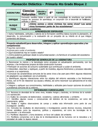Planeación Didáctica - Primaria 4to Grado Bloque 2
ASIGNATURA
Ciencias
Naturales
GRADO y
GRUPO 4° TIEMPO
ENFOQUE
Formación científica básica a partir de una metodología de enseñanza que permita
mejorar los procesos de aprendizaje; en conjunción con el desarrollo de habilidades,
actitudes y valores.
BLOQUE 2 ¿Cómo somos y cómo vivimos los seres vivos? Los seres
vivos formamos parte de los ecosistemas*
TEMA Nuestro ecosistema.
APRENDIZAJES ESPERADOS
• Aplica habilidades, actitudes y valores de la formación científica básica durante la planeación, el
desarrollo, la comunicación y la evaluación de un proyecto de su interés en el que integra
contenidos del bloque.
CONTENIDOS
Proyecto estudiantil para desarrollar, integrar y aplicar aprendizajes esperados y las
competencias
Preguntas opcionales:
Acciones para cuidar el ambiente.
• ¿Qué ecosistemas hay en nuestro estado?
• ¿Cómo podemos participar desde la comunidad escolar y la familia en el cuidado del ecosistema
de nuestro estado?
PROPÓSITOS GENERALES DE LA ASIGNATURA
• Reconozcan la ciencia y la tecnología como procesos en actualización permanente, con los
alcances y las limitaciones propios de toda construcción humana.
• Participen en acciones de consumo sustentable que contribuyan a cuidar el ambiente.
• Interpreten, describan y expliquen, a partir de modelos, algunos fenómenos y procesos naturales
cercanos a su experiencia.
• Conozcan las características comunes de los seres vivos y las usen para inferir algunas relaciones
de adaptación que establecen con el ambiente.
• Identifiquen algunas interacciones entre los objetos del entorno asociadas a los fenómenos
físicos, con el fin de relacionar sus causas y efectos, así como reconocer sus aplicaciones en la vida
cotidiana.
• Integren y apliquen sus conocimientos, habilidades y actitudes para buscar opciones de solución
a problemas comunes de su entorno.
ESTÁNDARES CURRICULARES
1.4. Reconoce la diversidad de los seres vivos, incluidos hongos y bacterias, en términos de la nutrición
y la reproducción.
1.5. Explica los conceptos de biodiversidad, ecosistema, cadenas alimentarias y ambiente.
1.7. Identifica algunas causas y consecuencias del deterioro de los ecosistemas, así como del
calentamiento global.
3.1. Realiza y registra observaciones de campo y analiza esta información como parte de una
investigación científica.
3.6. Comunica los resultados de observaciones e investigaciones usando diversos recursos, incluyendo
formas simbólicas como los esquemas, gráficas y exposiciones, así como las tecnologías de la
comunicación y la información.
4.3. Manifiesta disposición y toma decisiones en favor del cuidado del ambiente.
4.5. Manifiesta compromiso con la idea de la interdependencia de los humanos con la naturaleza y la
necesidad de cuidar la riqueza natural.
 