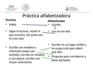 Práctica alfabetizadora
Persona
• Habla
• Sigue la lectura, repite lo
que escucha, lee junto con
él y lee sola
• Escribe con modelo o
referente (copia con
sentido), escribe sin modelo
y con apoyo, escribe con
mayor autonomía
Alfabetizador
• Escribe
• Lee en voz alta
• Escribe en un lugar visible y
se asegura de que saben
qué dice
• Pregunta para corroborar y
pone ejemplos
 