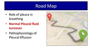 Road Map
• Role of pleura in
breathing
• Normal Pleural fluid
turnover
• Pathophysiology of
Pleural Effusion
 