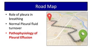 Road Map
• Role of pleura in
breathing
• Normal Pleural fluid
turnover
• Pathophysiology of
Pleural Effusion
 