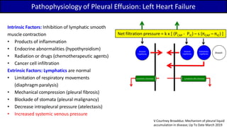 Intrinsic Factors: Inhibition of lymphatic smooth
muscle contraction
• Products of inflammation
• Endocrine abnormalities (hypothyroidism)
• Radiation or drugs (chemotherapeutic agents)
• Cancer cell infiltration
Extrinsic Factors: Lymphatics are normal
• Limitation of respiratory movements
(diaphragm paralysis)
• Mechanical compression (pleural fibrosis)
• Blockade of stomata (pleural malignancy)
• Decrease intrapleural pressure (atelectasis)
• Increased systemic venous pressure
Parietal
Capillaries
Lymphatic (stomata)
Visceral
Capillaries
Lymphatic (No stomata)
Pulmonary
Capillaries Alveoli
Net filtration pressure = k x [ (PCAP – PIC) – s (PCAP – PIC) ]
Pathophysiology of Pleural Effusion: Left Heart Failure
V Courtney Broaddus: Mechanism of pleural liquid
accumulation in disease; Up To Date March 2019
Net filtration pressure = k x [ (PCAP - PIC) – s (πCAP – πIC) ]
 