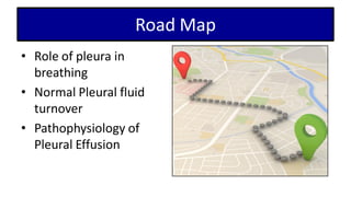 Road Map
• Role of pleura in
breathing
• Normal Pleural fluid
turnover
• Pathophysiology of
Pleural Effusion
 