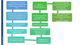 proliferation of microbial
pathogens at the alveolar level
and the host’s response to
them
microaspiration, inhalation, and
direct mucosal dispersion of
oropharyngeal organisms into
the lower respiratory tract
inflammatory event (viral,
macroaspiration)
self-accelerating positive
feedback loops
Overcoming of innate
and adaptive immunity
epithelial and or
endothelial injury
macrophages and neutrophils
release of cytokines,
chemokines, and
catecholamines
alveolar capillary leak
impaired oxygenation,
hypoxemia, and
radiographic infiltrates
hypoxic
vasoconstriction 
severe hypoxemia
Decreased compliance,
increased respiratory drive,
increased secretions,
bronchospasm 
worsening dyspnea.
Reductions in lung volume,
compliance, and
intrapulmonary shunting of
blood 
respiratory failure
Pathophysiology
 