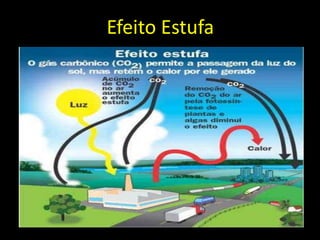 Redução da Camada de Ozônio