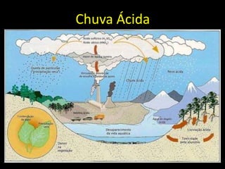 Doenças Respiratórias