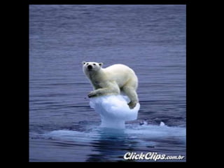 Redução da Camada de Ozônio