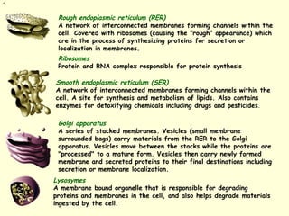 ppt on introduction to biochemistry and cell | PPT