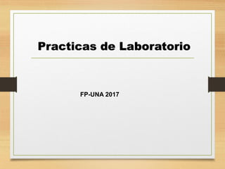 Practicas de Laboratorio
FP-UNA 2017
 