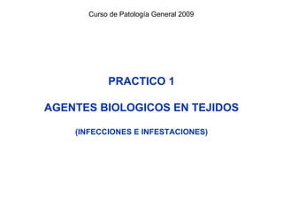 PRACTICO 1 AGENTES BIOLOGICOS EN TEJIDOS (INFECCIONES E INFESTACIONES) Curso de Patología General 2009 