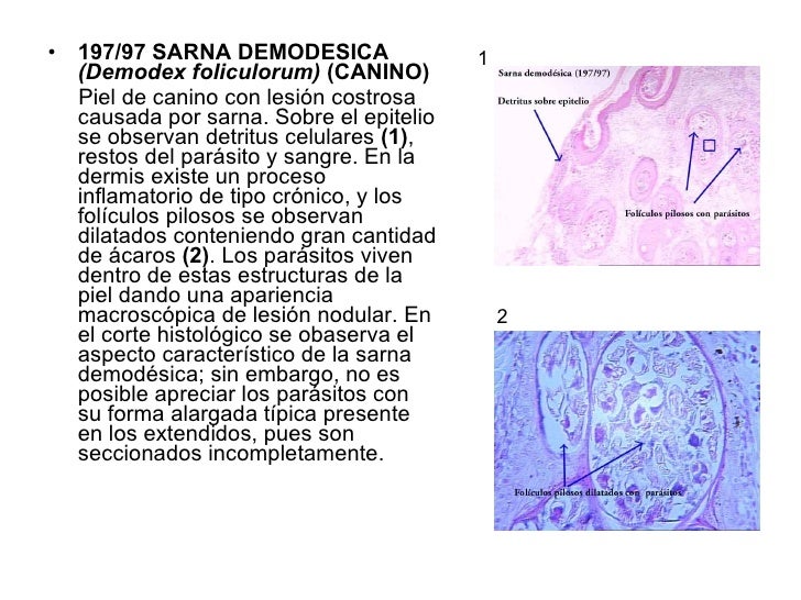 01 Practico Num 1