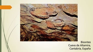 Bisontes
Cueva de Altamira,
Cantabria, España
 