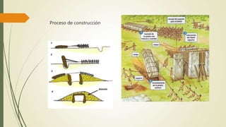 Proceso de construcción
 