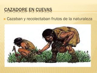 CAZADORE EN CUEVAS
 Cazaban y recolectaban frutos de la naturaleza
 