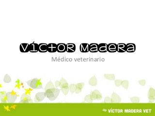 Víctor Madera
Médico veterinario
 