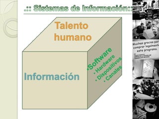 .:: Sistemas de Información::. Talento  humano ,[object Object]