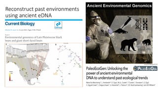 Environmental DNA (eDNA) analysis and applications