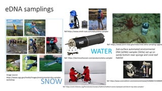 Environmental DNA (eDNA) analysis and applications