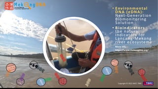 Environmental DNA (eDNA) analysis and applications