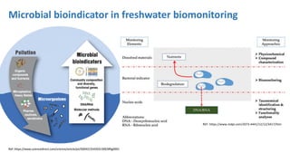 Environmental DNA (eDNA) analysis and applications