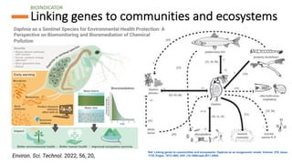 Environmental DNA (eDNA) analysis and applications