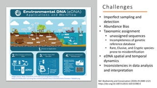 Environmental DNA (eDNA) analysis and applications