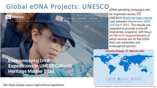 Environmental DNA (eDNA) analysis and applications