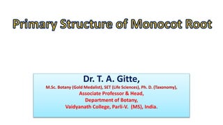 Dr. T. A. Gitte,
M.Sc. Botany (Gold Medalist), SET (Life Sciences), Ph. D. (Taxonomy),
Associate Professor & Head,
Department of Botany,
Vaidyanath College, Parli-V. (MS), India.
 