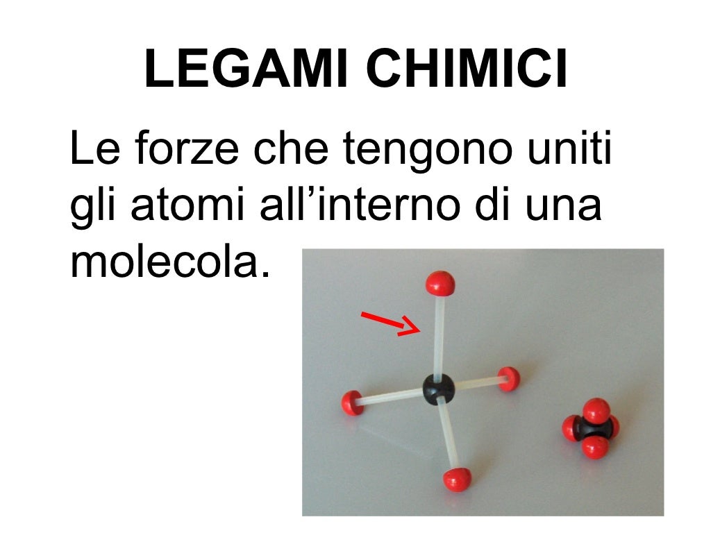 I Principi Di Biochimica Di Lehninger 7 Pdf Download Princìpi di biochimica