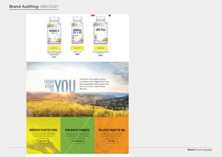 Brand/Visual Language
Brand Auditing: 086/2021
 
