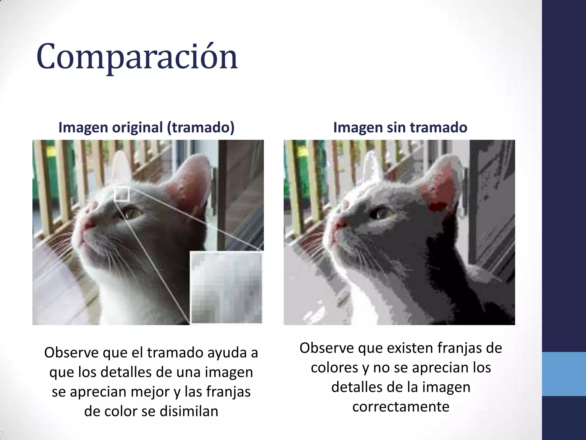 Comparación
    Imagen original (tramado)          Imagen sin tramado
|




Observe que el tramado ayuda a     Observe que existen franjas de
que los detalles de una imagen      colores y no se aprecian los
 se aprecian mejor y las franjas       detalles de la imagen
      de color se disimilan               correctamente
 