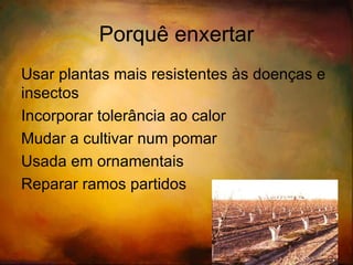 Alporquia Utiliza-se  em plantas de difícil enraizamento 
