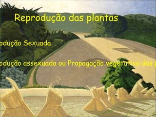 Reprodução das plantas Reprodução Sexuada 