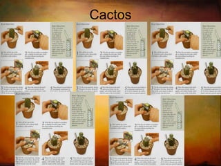 Porquê enxertar Usar plantas mais resistentes às doenças e insectos 