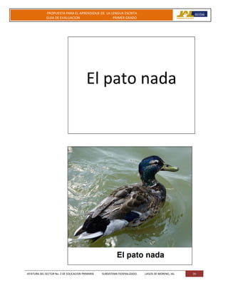 JEFATURA DEL SECTOR No. 2 DE EDUCACION PRIMARIA. SUBSISTEMA FEDERALIZADO. LAGOS DE MORENO, JAL 26
PROPUESTA PARA EL APRENDIZAJE DE LA LENGUA ESCRITA
GUIA DE EVALUACION PRIMER GRADO
El pato nada
 