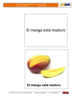 JEFATURA DEL SECTOR No. 2 DE EDUCACION PRIMARIA. SUBSISTEMA FEDERALIZADO. LAGOS DE MORENO, JAL 27
PROPUESTA PARA EL APRENDIZAJE DE LA LENGUA ESCRITA
GUIA DE EVALUACION PRIMER GRADO
El mango está maduro
 
