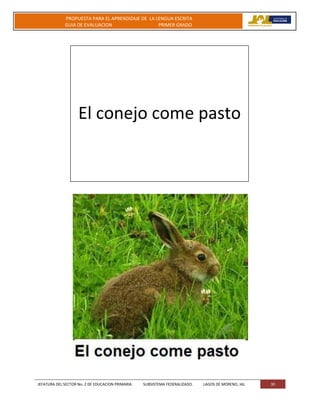 JEFATURA DEL SECTOR No. 2 DE EDUCACION PRIMARIA. SUBSISTEMA FEDERALIZADO. LAGOS DE MORENO, JAL 30
PROPUESTA PARA EL APRENDIZAJE DE LA LENGUA ESCRITA
GUIA DE EVALUACION PRIMER GRADO
El conejo come pasto
 