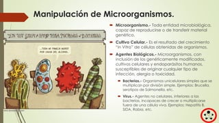 Manipulación de Microorganismos.
 Microorganismo.- Toda entidad microbiológica,
capaz de reproducirse o de transferir material
genético.
 Cultivo Celular.- Es el resultado del crecimiento
“in Vitro” de células obtenidas de organismos.
 Agentes Biológicos.- Microorganismos, con
inclusión de los genéticamente modificados,
cultivos celulares y endoparásitos humanos,
susceptibles de originar cualquier tipo de
infección, alergia o toxicidad.
 Bacterias.- Organismos unicelulares simples que se
multiplican por división simple. Ejemplos: Brucella,
serotipos de Salmonella, etc.
 Virus.- Agentes no celulares, inferiores a las
bacterias, incapaces de crecer o multiplicarse
fuera de una célula viva. Ejemplos: Hepatitis B,
SIDA, Rabia, etc.
 