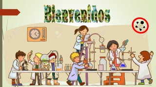 Protocolo d seguridad