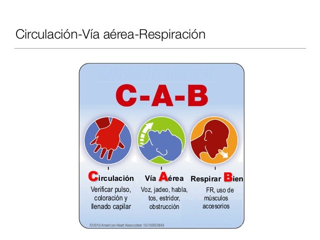 Resultado de imagen para VIA AEREA Y RESPIRACION