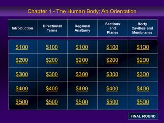 Chapter 1 - The Human Body: An Orientation 
$100 
$200 
$300 
$400 
$500 
$100 $100 $100 $100 
$200 $200 $200 $200 
$300 $300 $300 $300 
$400 $400 $400 $400 
$500 $500 $500 $500 
Introduction 
Directional 
Terms 
Regional 
Anatomy 
Sections 
and 
Planes 
Body 
Cavities and 
Membranes 
FINAL ROUND 
 