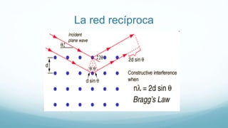 La red recíproca
 