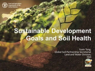 Sustainable Development
Goals and Soil Health
Yuxin Tong,
Global Soil Partnership Secretariat
Land and Water Division,
FAO
 