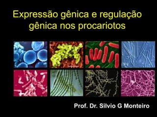 Expressão gênica e regulação
gênica nos procariotos
Prof. Dr. Silvio G Monteiro
 