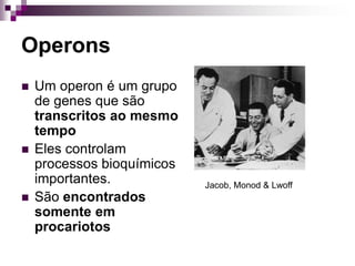 Operons
 Um operon é um grupo
de genes que são
transcritos ao mesmo
tempo
 Eles controlam
processos bioquímicos
importantes.
 São encontrados
somente em
procariotos
Jacob, Monod & Lwoff
 