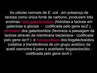 As células normais de E. coli , em presença de
lactose como única fonte de carbono, produzem três
enzimas: beta-galactosidase (hidrolisa a lactose em
galactose e glicose - codificada pelo gene lacZ ),
permease dos galactosídios (favorece a passagem da
lactose através da membrana bacteriana - codificada
pelo gene lacY ) e transacetilase dos tiogalactosídios
(catalisa a transferência de um grupo acetílico da
acetil coenzima A para o acetilador tiogalactosídio -
codificada pelo gene lacA ).
 